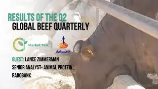 A Look at Rabobank's Global Beef Quarterly for Q2