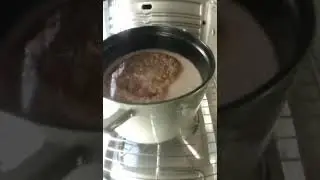 Anova Precision Oven 2.0 - AI Smart Camera