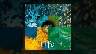 Colour Haze - Life (We Are)