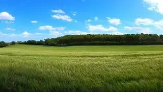 Relaxing ambient nature for deep focus, sleep and meditation #ambientasmr #asmr #naturesounds