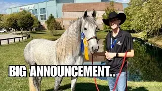 We Never Expected This Opportunity... Adira's Big News