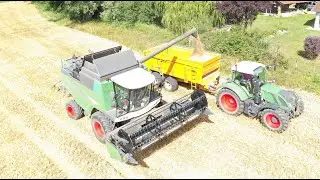 Moisson bl&eacute; 2020 avec FENDT 5255 L