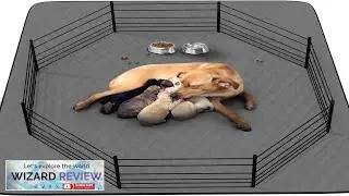 Washable Puppy Dog Pee Pad 34