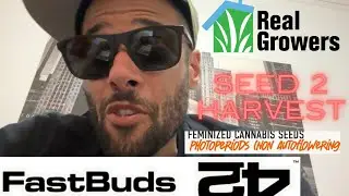 Fast buds photoperiod seed to harvest 🍃🍂