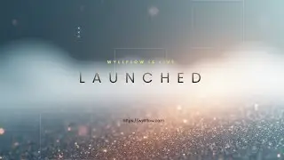 Создание микро-SaaS-платформы | Wyllflow запущена