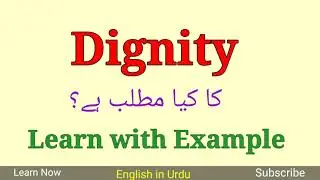 Dignity Meaning in Urdu