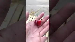 Perfect satisfying photos&hellip;🥹 #satisfying