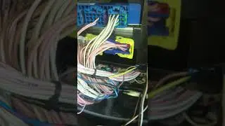 Видео мониторинг man tgx, bitrek dvr