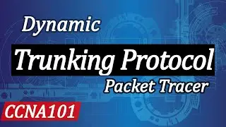 Introduction to Dynamic Trunking Protocol - DTP in Cisco Packet Tracer | CCNA 101