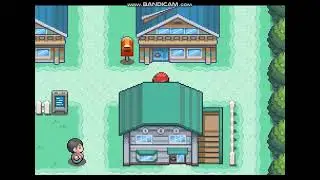 Lets play Pok&eacute;mon Aesthetic Red part 1-Viridian Forest