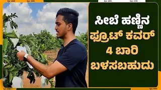 ಸೀಬೆ ಹಣ್ಣಿನ ಫ್ರೂಟ್ ಕವರ್ 4 ಬಾರಿ ಬಳಸಬಹುದು | guava fruit cover