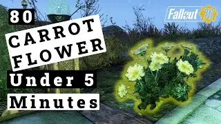 Fallout  76 Carrot Flowers: The Best Location