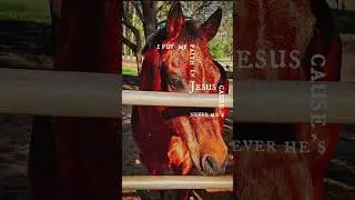 A Fallen Cowboy