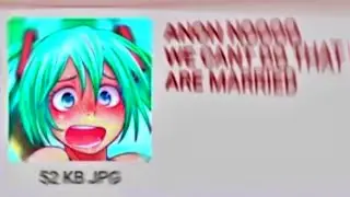 ANON NOOOO but with actual Miku's voice
