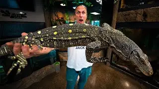 GETTING A CROCODILE MONITOR LIZARD FOR MY REPTILE ZOO!! EMOTIONAL!!  | BRIAN BARCZYK
