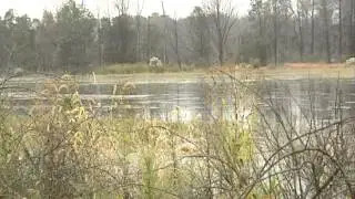 Flooding near Broadkill Beach, Delaware
