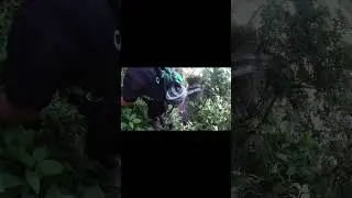 Full 7 Waterfalls tour in Juayua, El Salvador