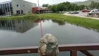 Cast and Reel