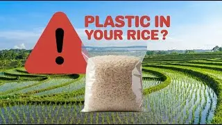Instant Rice vs Regular Rice | Which Has More Microplastics?