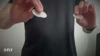 3 fly & tenkai pennies