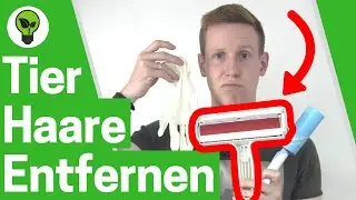 Tierhaare entfernen Kleidung & Auto ✅ TOP ANLEITUNG: Tierhaarentferner f&uuml;r Katzenhaare & Hundehaare!
