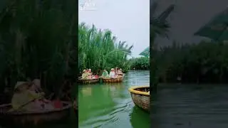 Coconut Forest in Danang 1