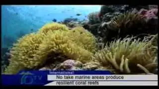 No Take Marine Areas Produce Resilient Coral Reefs