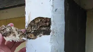 Failed Roof Beam Repair ( epoxy / bondo / filler type patch )