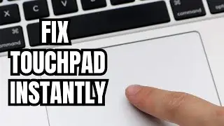Не работает сенсорная панель ноутбука в Windows 11? Как исправить за 2 минуты