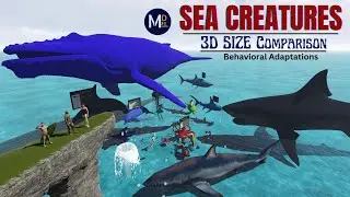 Sea Creatures Behavioral Comparison ( Class, Scientific Classification)|| Animal Size Comparison 3D