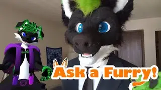 Furry Q&A (Jay Fox answers your questions!)