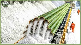 How World’s Most Expensive Salts Are Made – Amazing Asín Tibuok, Kala Namak, Bamboo Salt Processing
