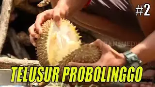 JEJAK ANAK NEGERI | TELUSUR PROBOLINGGO (12/11/21) Part 2