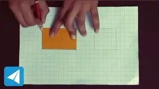 Graph for area of square and rectangles | Area | Mathematics