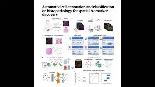 103-Automated Cell Classification on H&E images