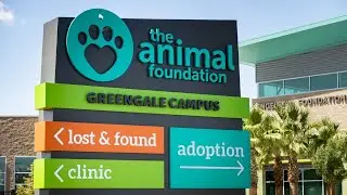 Las Vegas shelter offering free vaccines, microchips at community event
