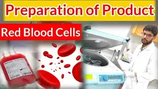 Blood Products Part 01 | How To Make Pack_Cells/Red cells | Fresh Frozen Plasma(FFP) | Blood Plasma