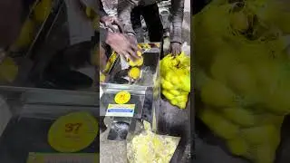 Multipurpose lemon slice cutting machine | Punjab engineering  +91 74892 41187