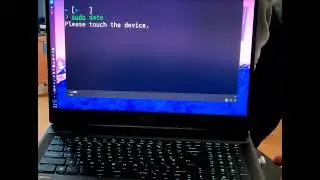 Using FIDO2 usb token as fingerprint scanner on Linux