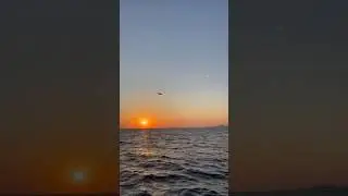 Посадка над морем в Сочи #посадкасамолета #сочи #море #авиация #пилот #pilot #самолет #aviation