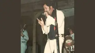 Too Much Like Elvis
