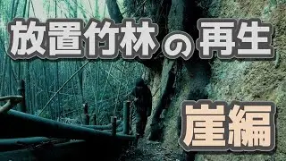 「30年放置された崖下の竹林を救う…道づくりから始まる再生」
