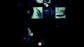Vildhjarta - Introduction: Staos