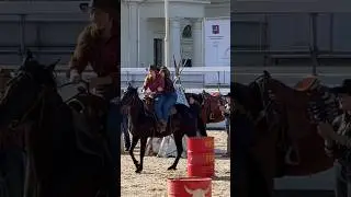 Free riding trick riding bareback | funny and cute horse videos | horse show | سباق الخيل #shorts