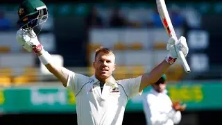 DAVID WARNER 300 Full highlights: Warner's epic 335 not out