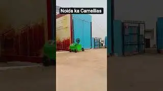 Noida ka Camellias| M3M Jacobs & Co | Noida Sector 97 | Luxury House