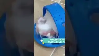 SANDALIAS LIMPIA PIES PARA DUCHA