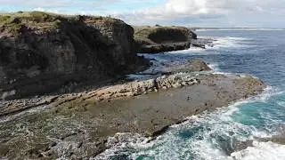 Shelly Beach, Kilcunda