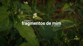 fragmentos de mim | poema autoral narrado (v&iacute;deo est&eacute;tico)
