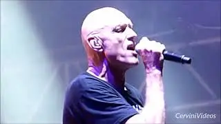 Forgotten Years, Midnight Oil LIVE